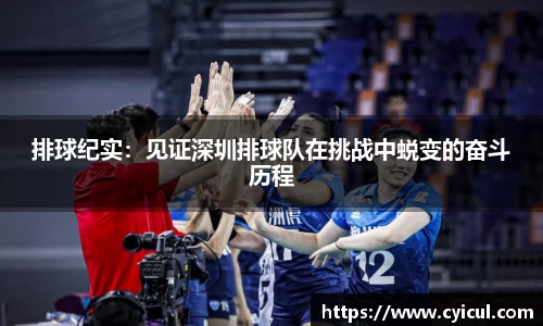 排球纪实：见证深圳排球队在挑战中蜕变的奋斗历程