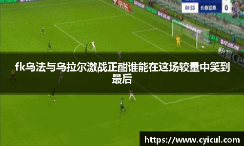 雷竞技raybet官网